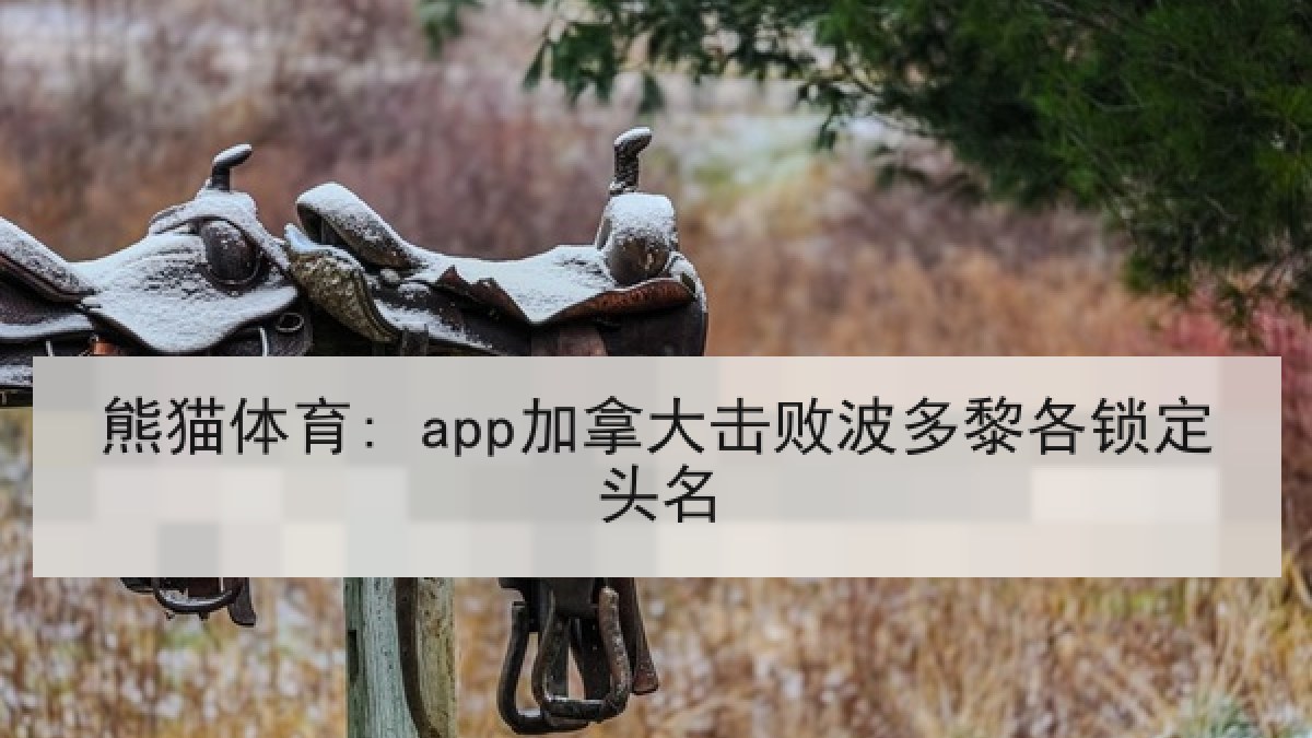 熊猫体育app: 加拿大击败波多黎各锁定头名 熊猫体育app: 加拿大击败波多黎各锁定头名