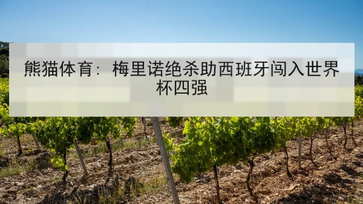 熊猫体育: 梅里诺绝杀助西班牙闯入世界杯四强