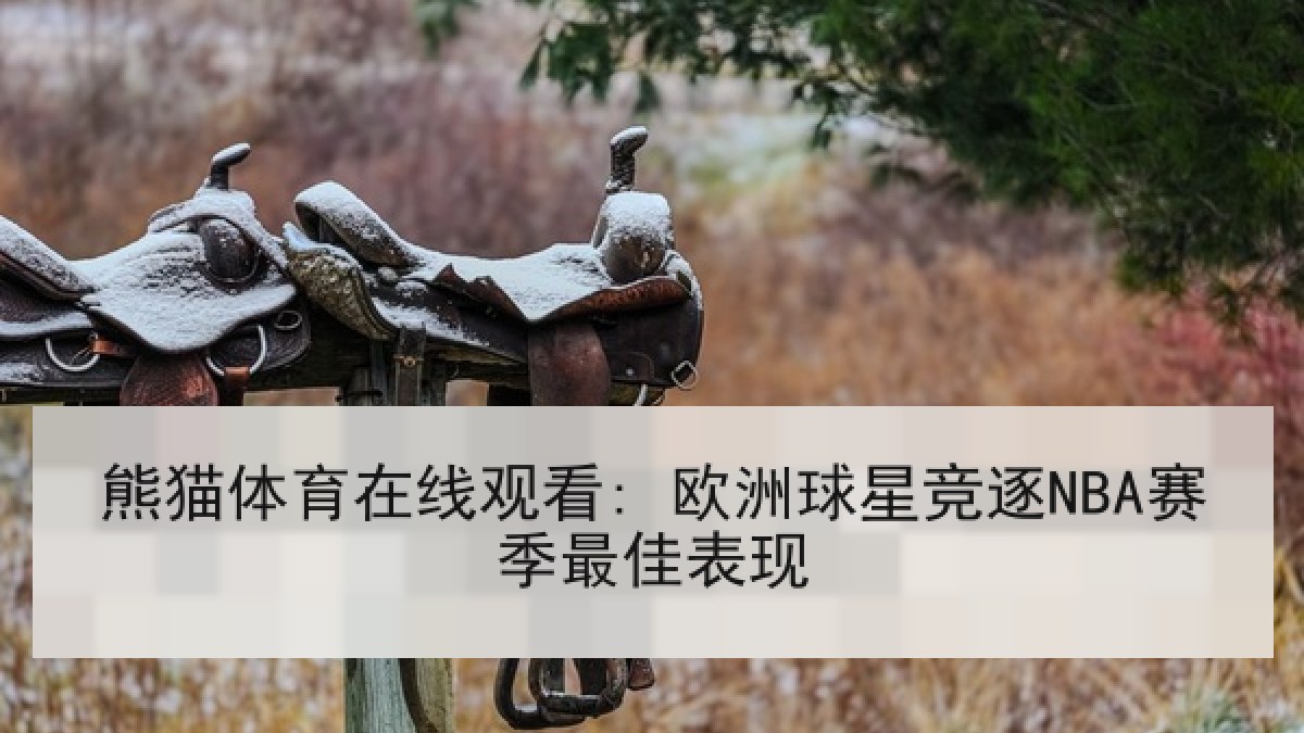 熊猫体育在线观看: 欧洲球星竞逐NBA赛季最佳表现 熊猫体育在线观看: 欧洲球星竞逐NBA赛季最佳表现