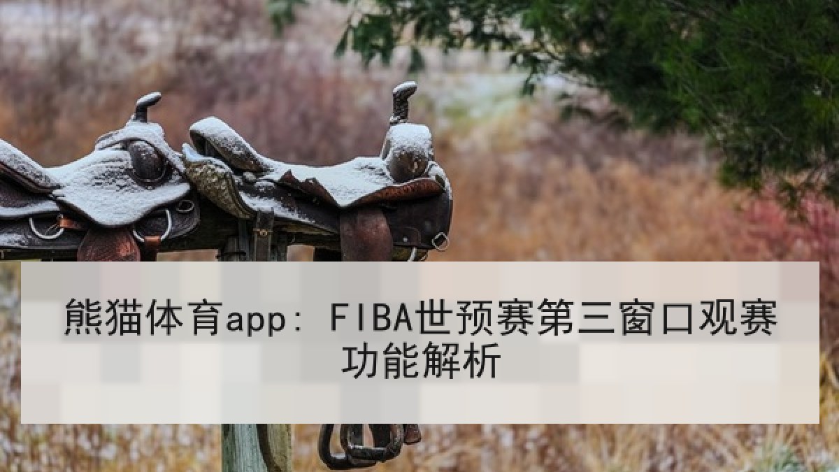 熊猫体育app: FIBA世预赛第三窗口观赛功能解析 熊猫体育app: FIBA世预赛第三窗口观赛功能解析