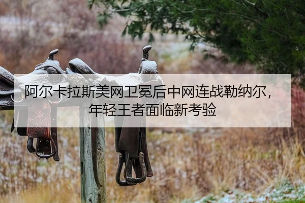 a-er-ka-la-si-mei-wang-wei-mian-hou-zhong-wang-lian-zhan-lei-na-er-nian-qing-wang-zhe-mian-lin-xin-kao-yan-2-339.jpg