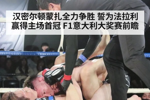 汉密尔顿蒙扎全力争胜 誓为法拉利赢得主场首冠 F1意大利大奖赛前瞻